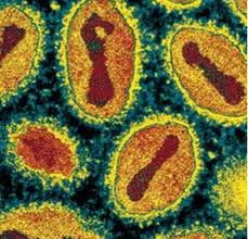 What are the long-term effects of smallpox?